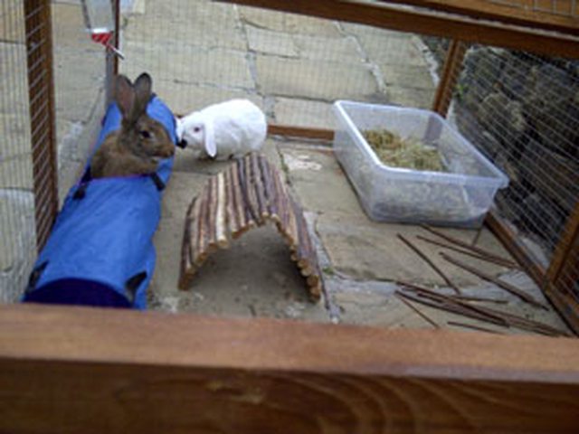 View more animals