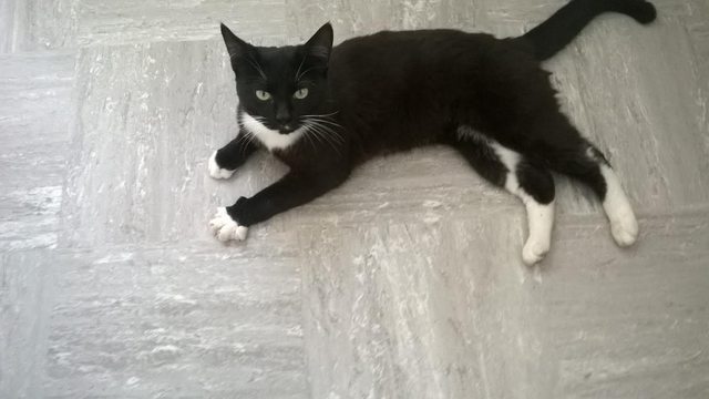 View more animals