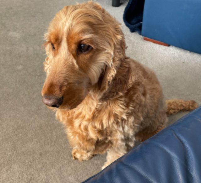 View more animals